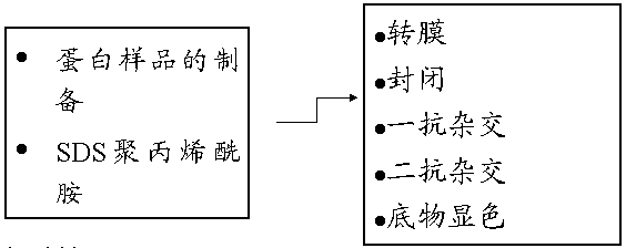 BJL平台(中国区)官网