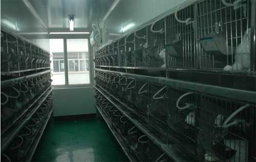BJL平台实验动物房