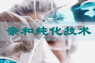 BJL平台亲和纯化手艺效劳