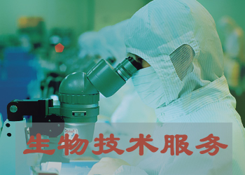 BJL平台生物实验手艺效劳外包