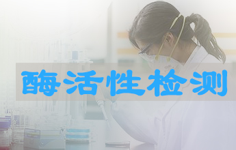 BJL平台酶活性测定效劳