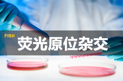 BJL平台荧光原位杂交手艺