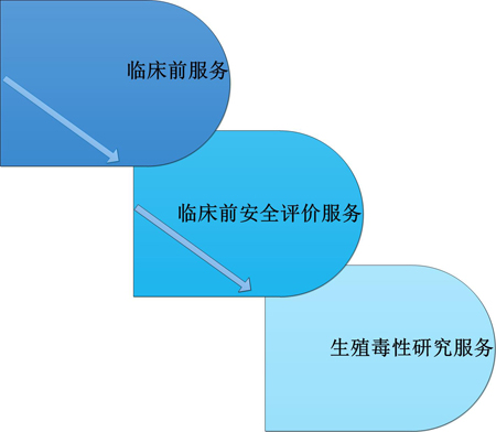 BJL平台临床前效劳中的生殖毒性效劳