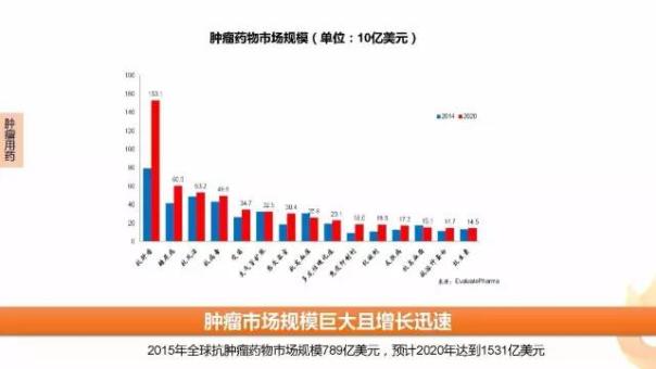 BJL平台(中国区)官网