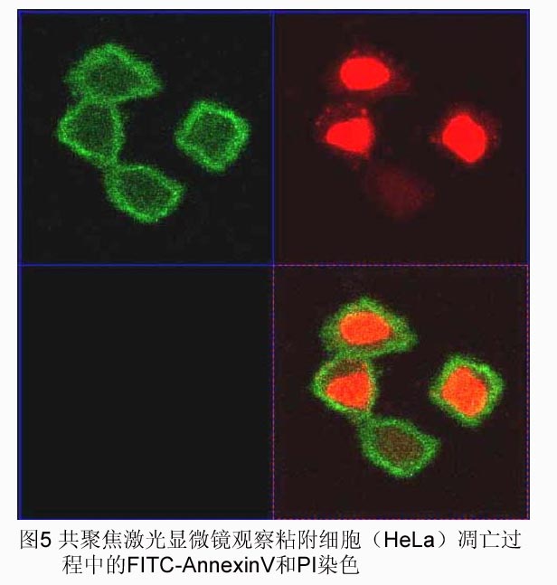 BJL平台(中国区)官网