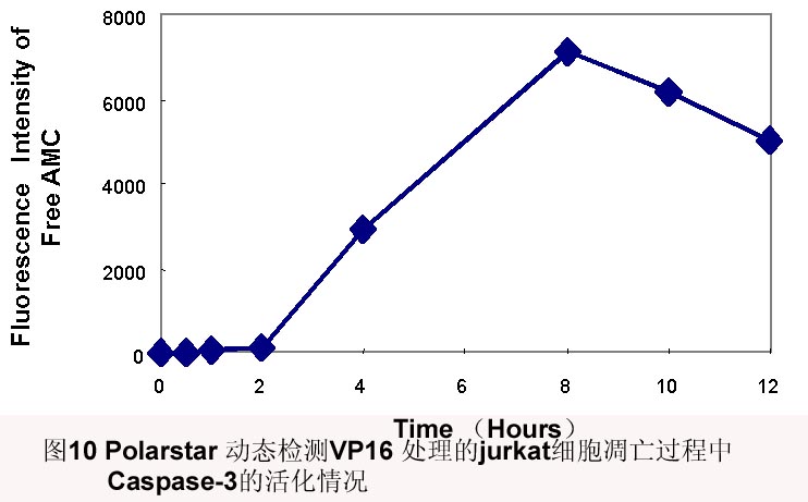 BJL平台(中国区)官网