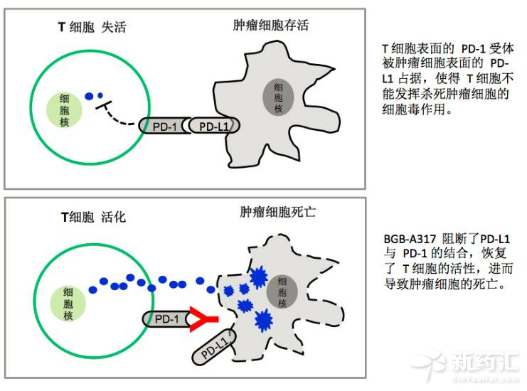 BJL平台(中国区)官网