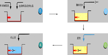 BJL平台(中国区)官网