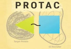 热门前沿:PROTAC初露矛头，，SD-36对抗肿瘤效果卓越