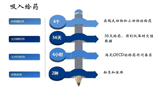 BJL平台吸入给药清静性评价效劳
