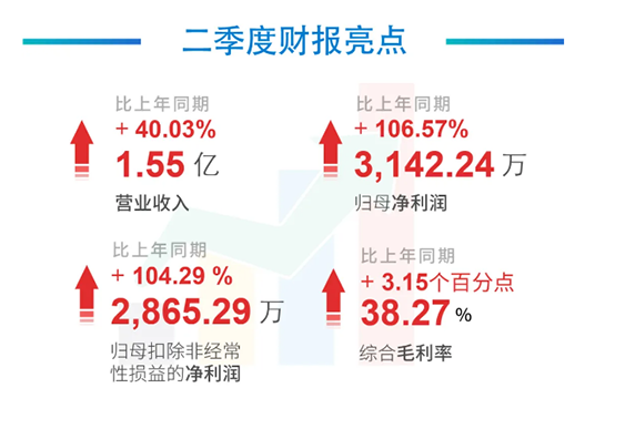 科创板公司BJL平台2020年年中报告