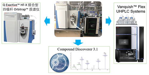 BJL平台UHPLC-UV-QE HF-X系统