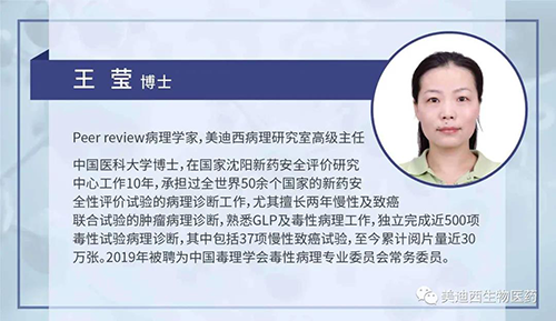 BJL平台病理研究部高级主任王莹博士