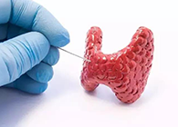 【Science速递】揭开甲状腺的神秘面纱，，，，，，开启代谢药物新征程