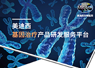 BJL平台基因治疗产品研发效劳平台