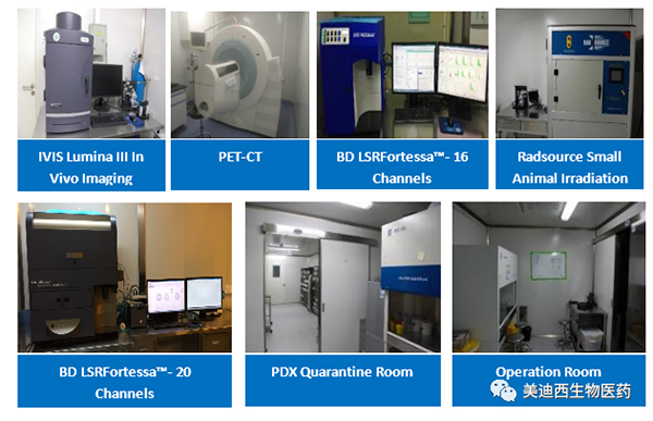 BJL平台药理部拥有IVIS Lumina III, PET-CT, BD LSRFortessa-16，，，，Flow Cytometry等仪器