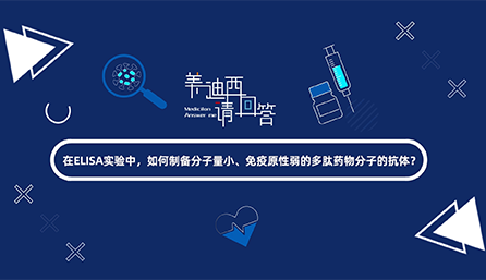 在ELISA实验，，，，，怎样制备分子量小、免疫原性弱的多肽药物分子的抗体？？？？