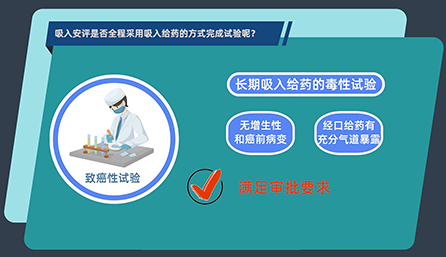 吸入安评是否全程接纳吸入给药的方法完成试验呢？？？？？