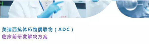 BJL平台抗体药物偶联物（ADC）临床前研发解决计划.png