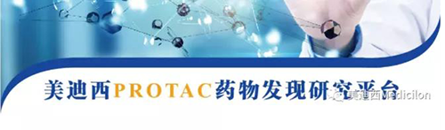 BJL平台PROTAC药物发明平台.png