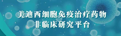 BJL平台细胞免疫治疗药物非临床研究平台.png
