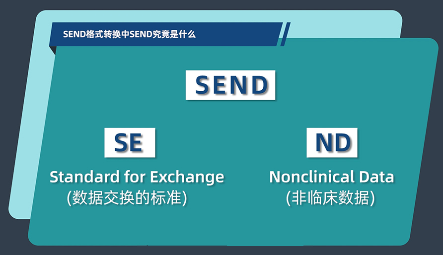SEND名堂转换中的SEND事实是什么？？？