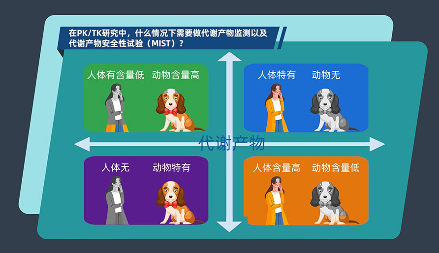 在PK-TK研究中，，，，什么情形下需要做代谢产品监测以及代谢产品清静性试验（MIST）