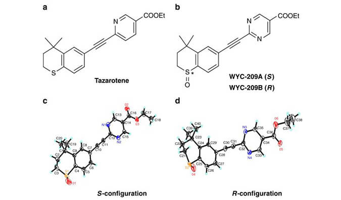 WYC-209可抑制恶性小鼠玄色素瘤肿瘤再生细胞增殖，，本研究中SPR通过BJL平台使用Biacore 8K举行