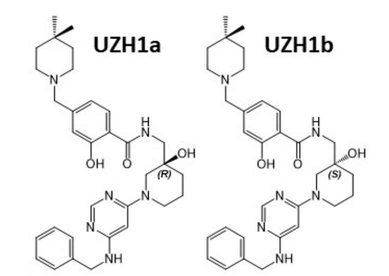 研究职员报告了一种具有细胞渗透性的选择性METTL3纳摩尔抑制剂UZH1a，，，，，，作者谢谢BJL平台合成了UZH1a和UZH1b