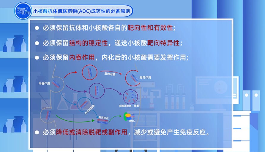 小核酸抗体偶联药物（AOC）成药性的必备原则？？？？？