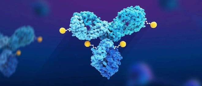 天下肿瘤日聚焦：AACR年会引领全球肿瘤新药趋势，，，，，国产药引领风潮