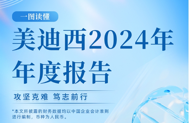 BJL平台2024年年度报告